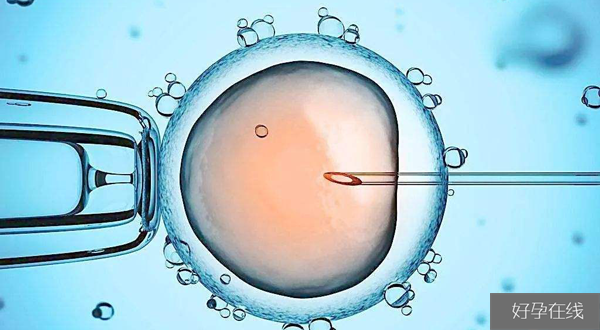 胚胎、囊胚培养非常重要