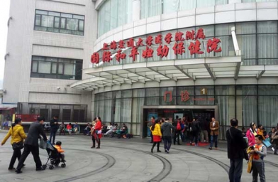 广东上海做试管助孕，上海国妇婴试管婴儿成功率和费用是怎样？
